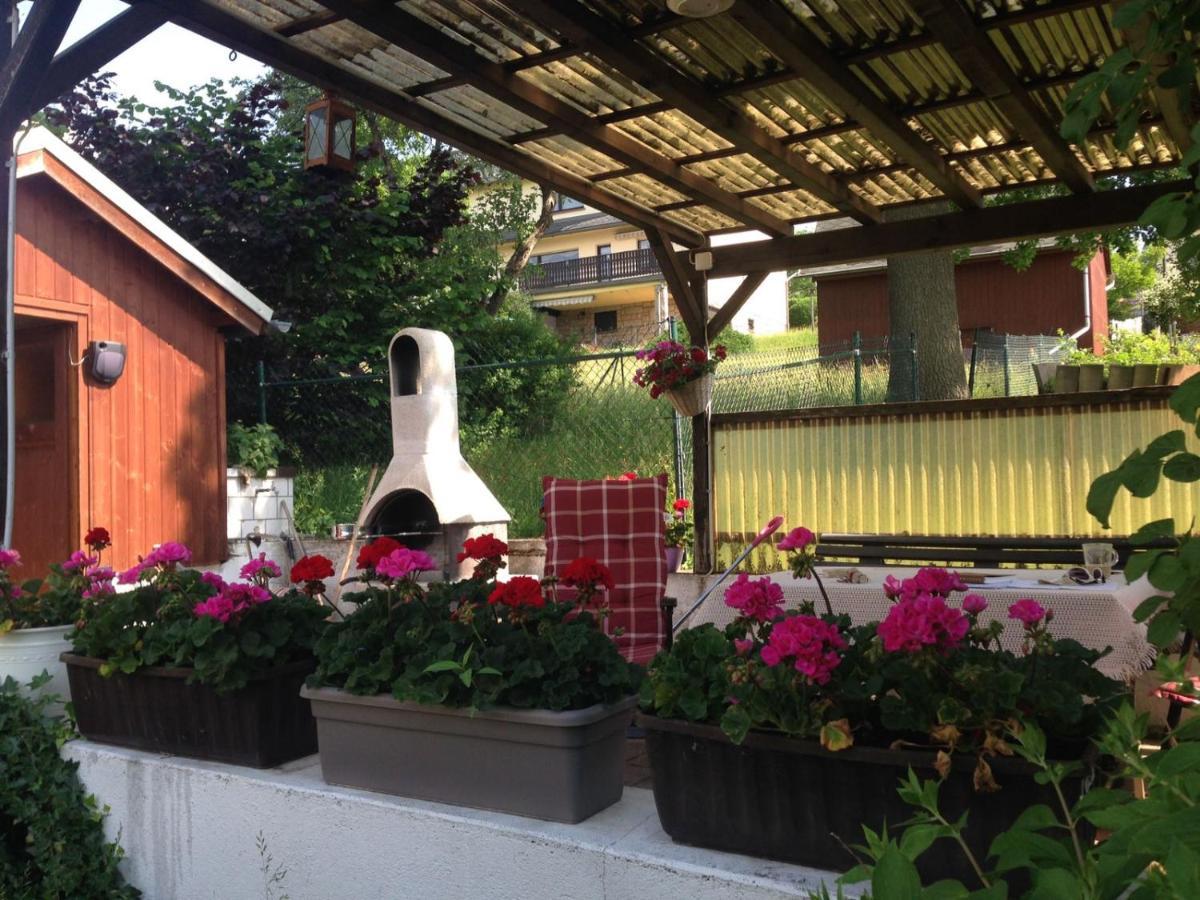 am Balkon des Erzgebirges Daire Bernsbach Dış mekan fotoğraf