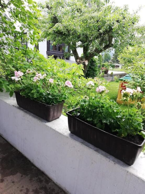 am Balkon des Erzgebirges Daire Bernsbach Dış mekan fotoğraf